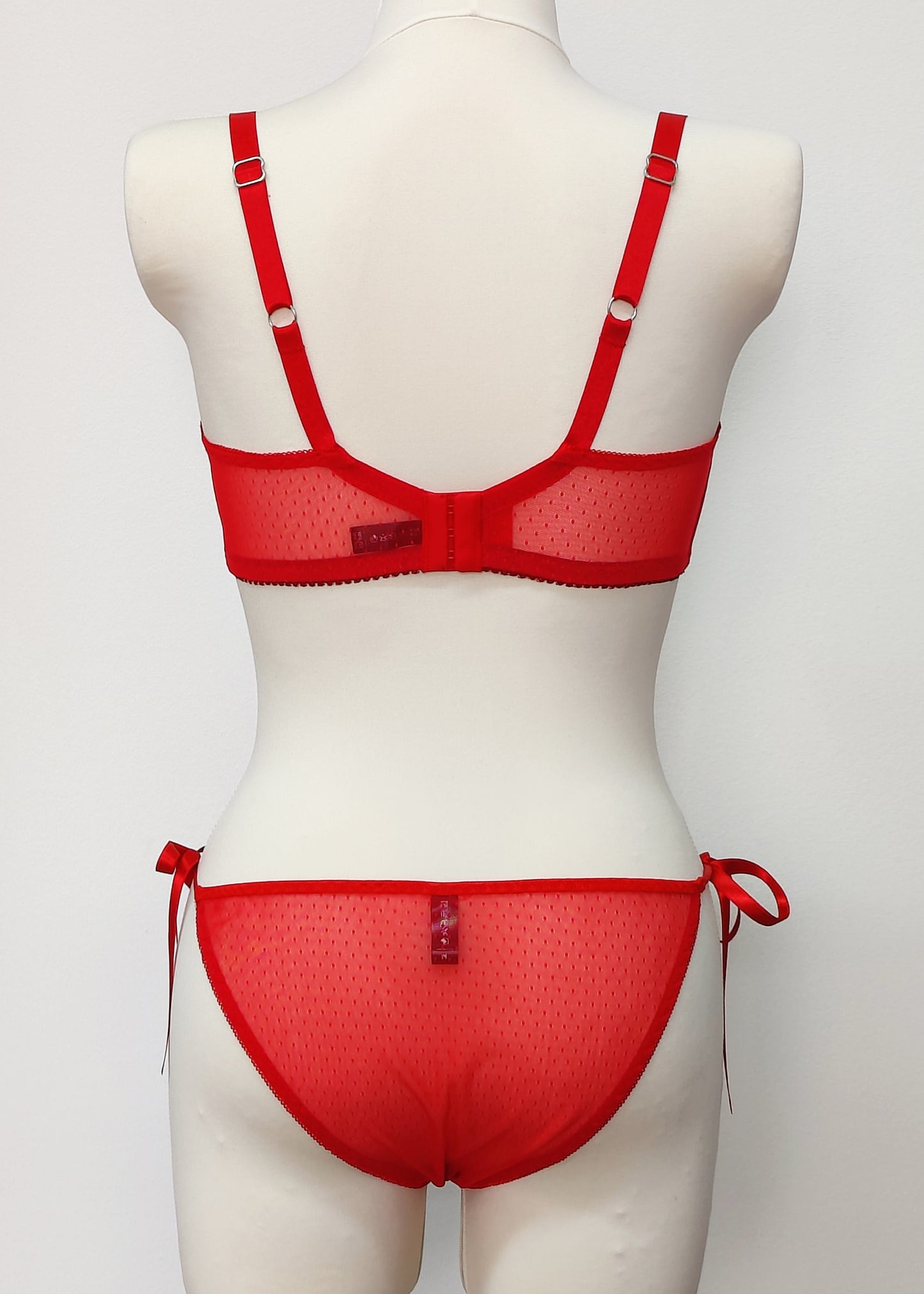 red Ella quarter cup bra, with red dot mesh fabric, underwired, shown with matching Irma panties, back view