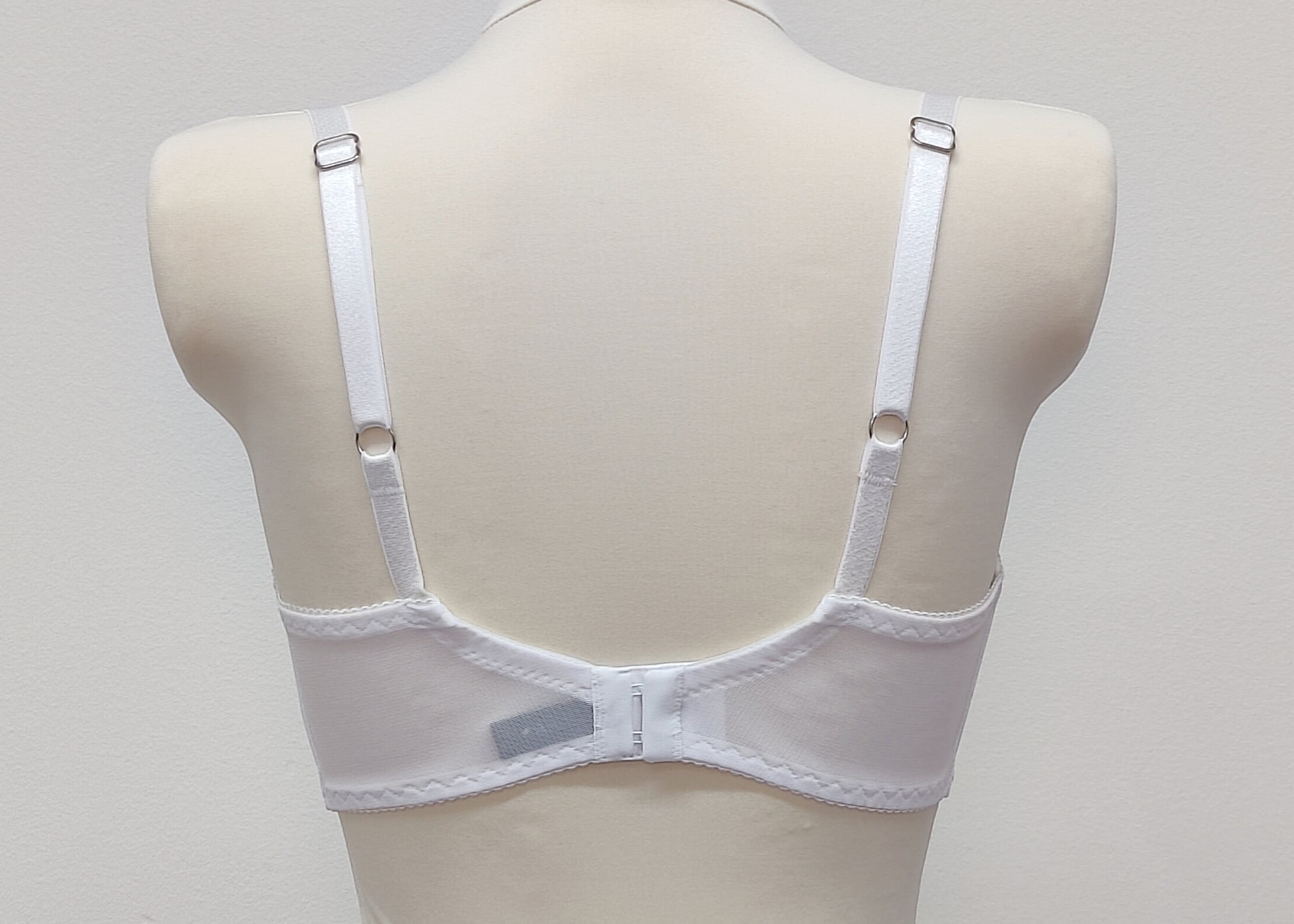 white Sheer full cup Lily bra, Underwired, mesh Bra, back view