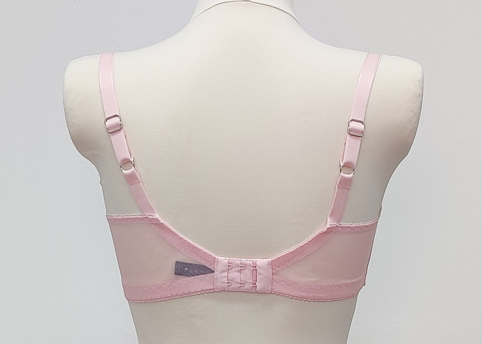 baby pink open cup Gina bra, back view