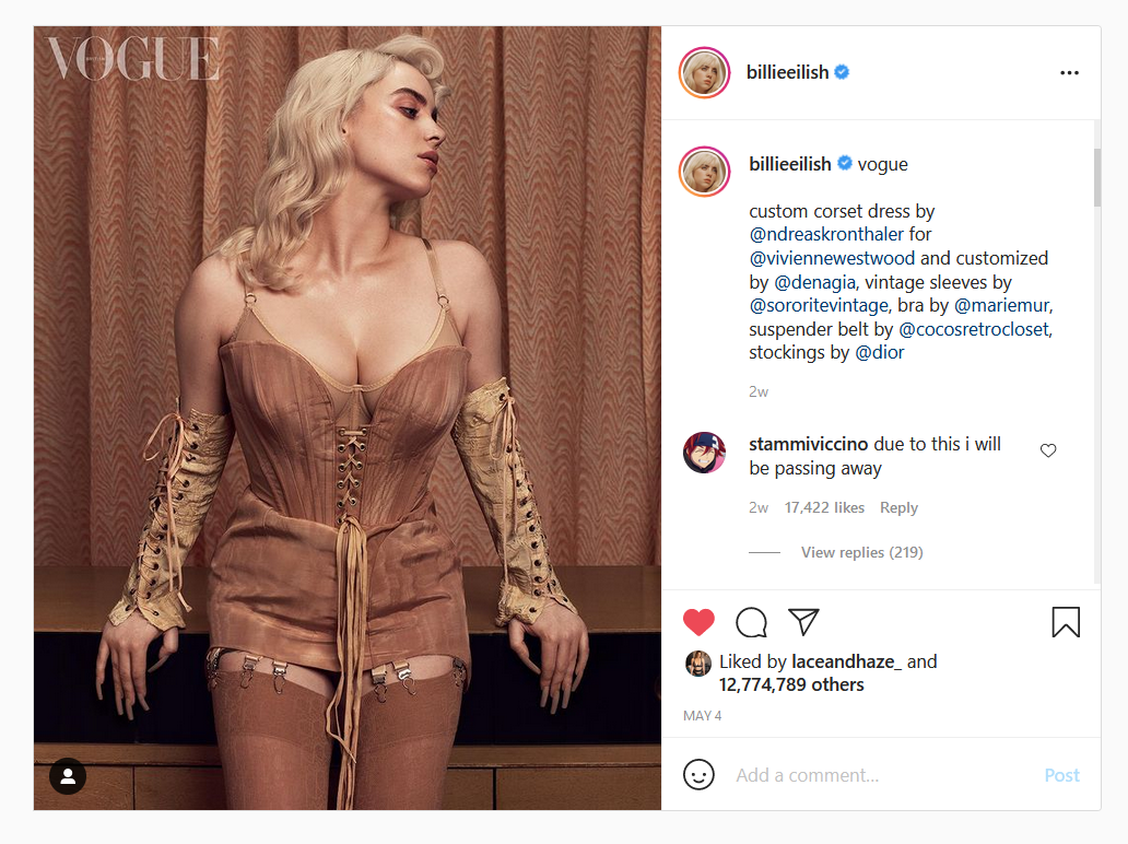 singer billie eilish is wearing coco's retro closet 12 strap garter belt