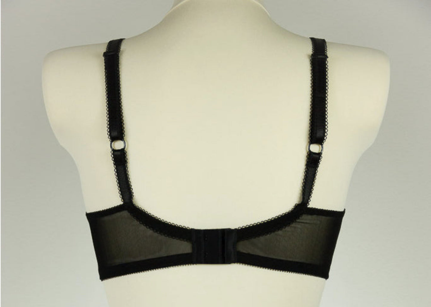 Audrey bra with black sheer the upper part of the cup, back view