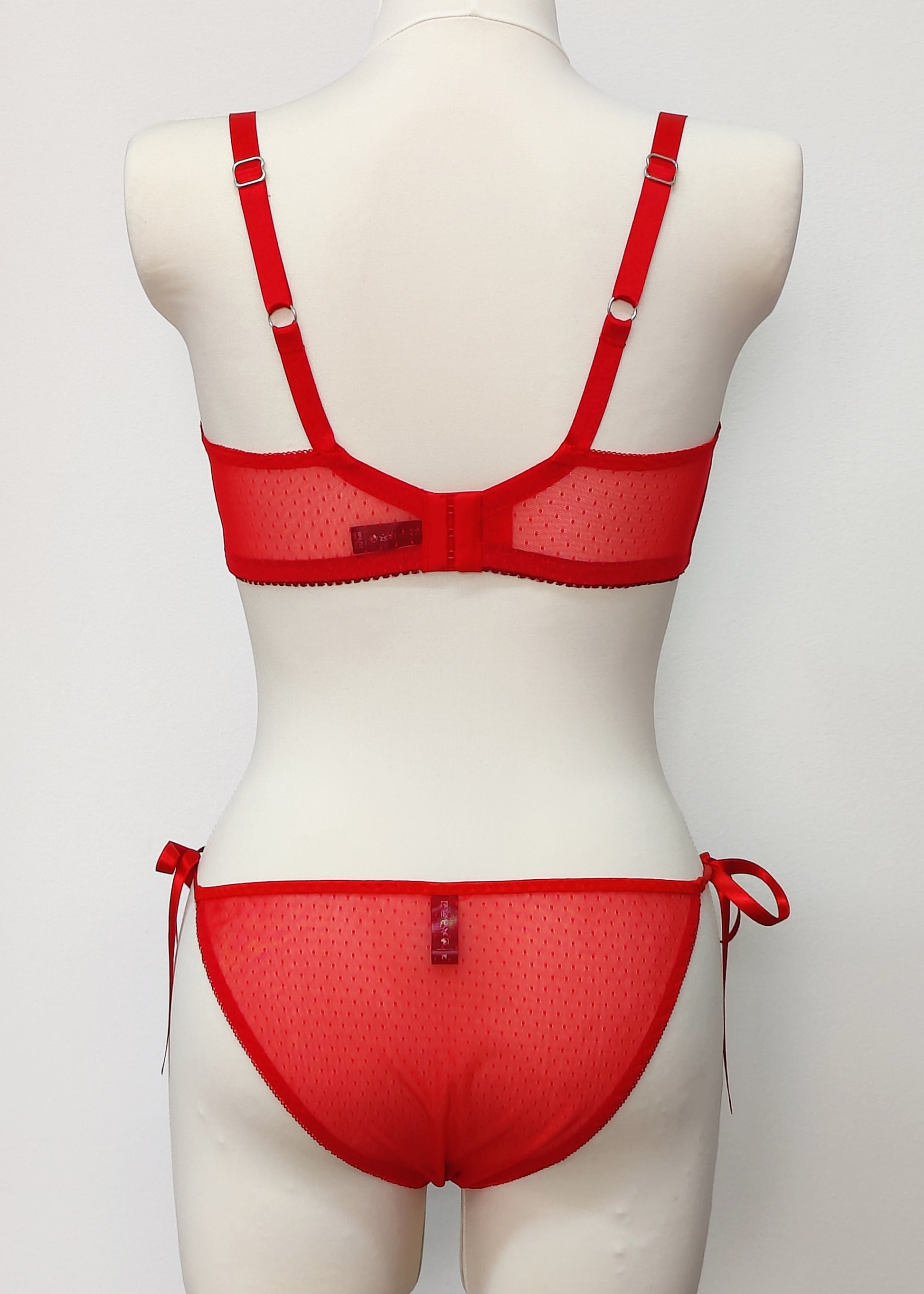 red side binding Irma panties made with dotted lingerie mesh, shown with matching Ella quarter cup bra, back view